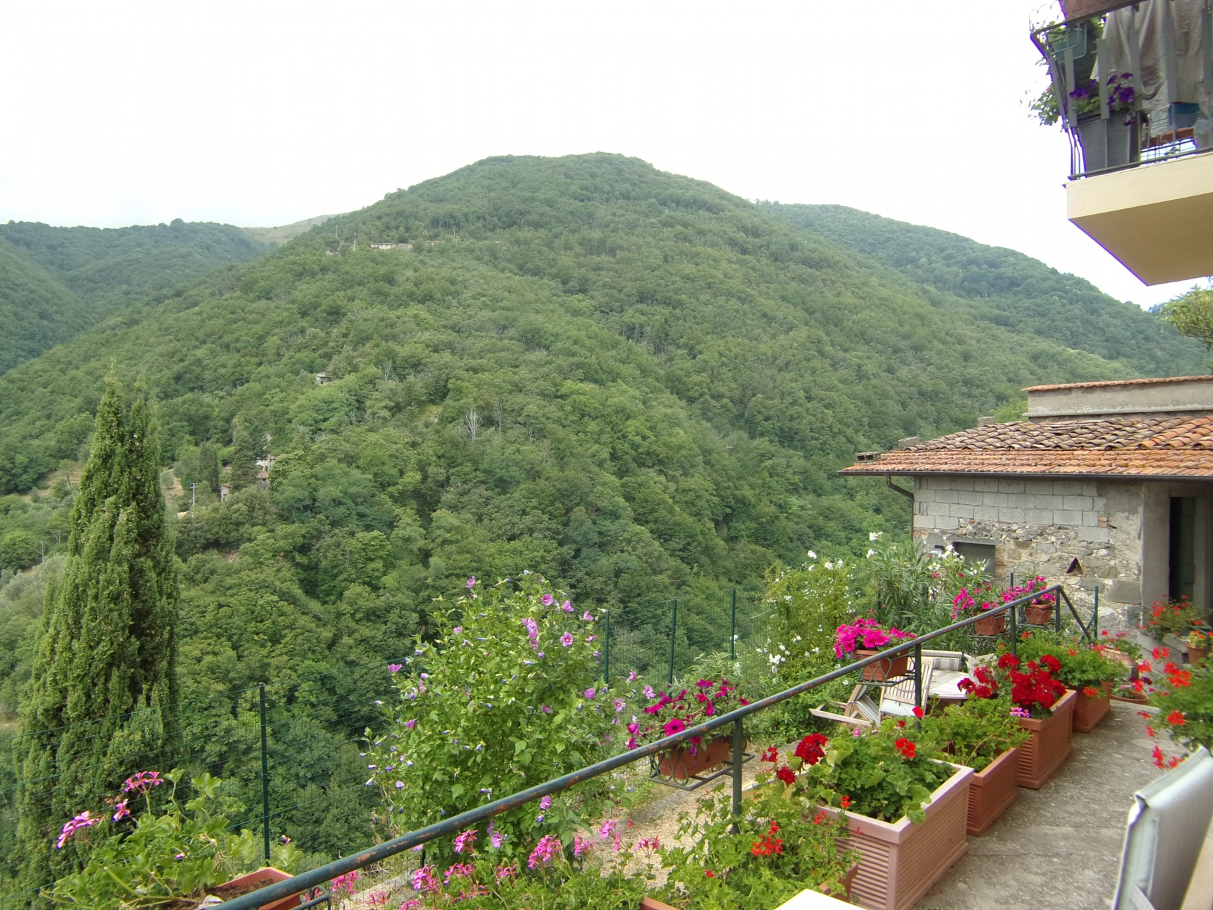 Villa Unifamiliare - Indipendente PESCAGLIA vendita    HOUSES IN TUSCANY