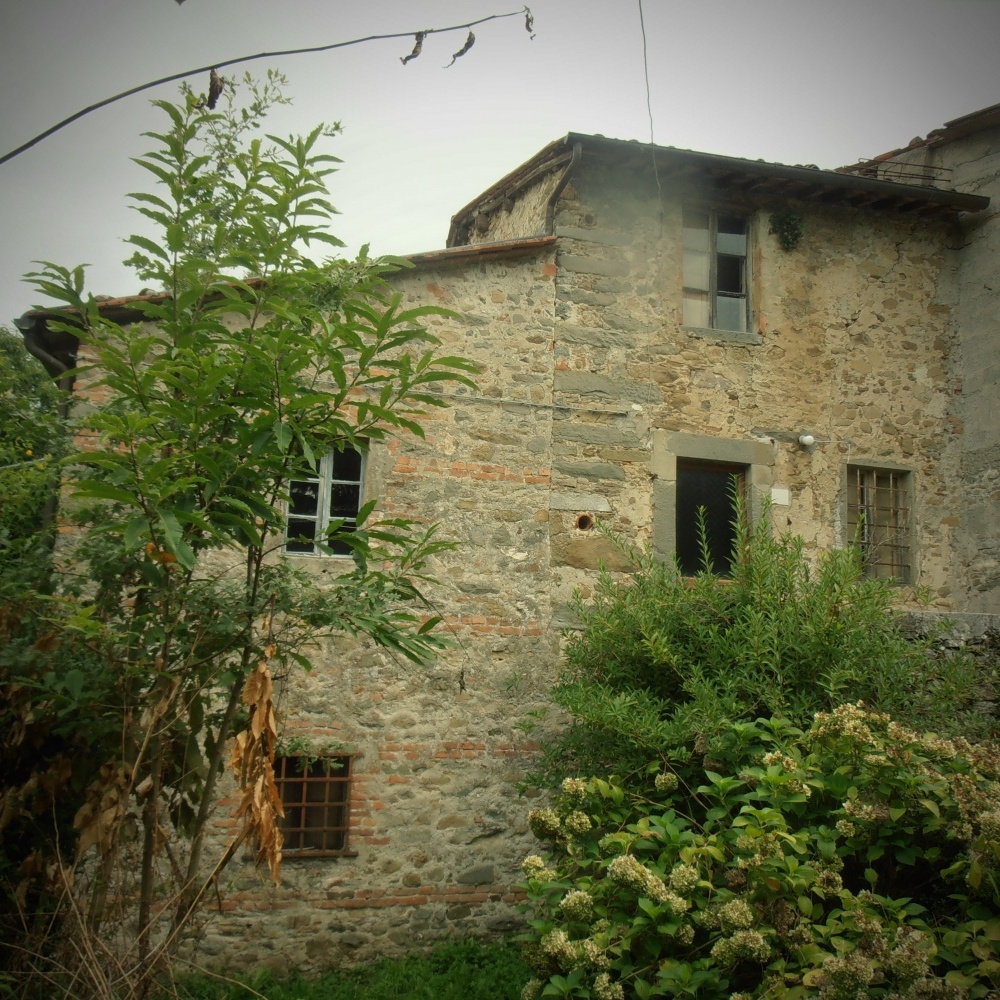 Rustico - Cascina BARGA vendita    HOUSES IN TUSCANY