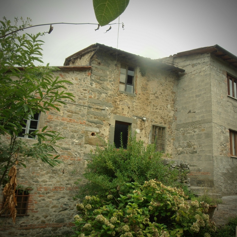 Rustico - Cascina BARGA vendita    HOUSES IN TUSCANY