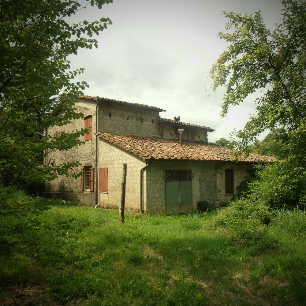 Rustico - Cascina BARGA vendita    HOUSES IN TUSCANY