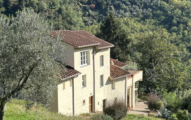 Renovated farmhouse with land